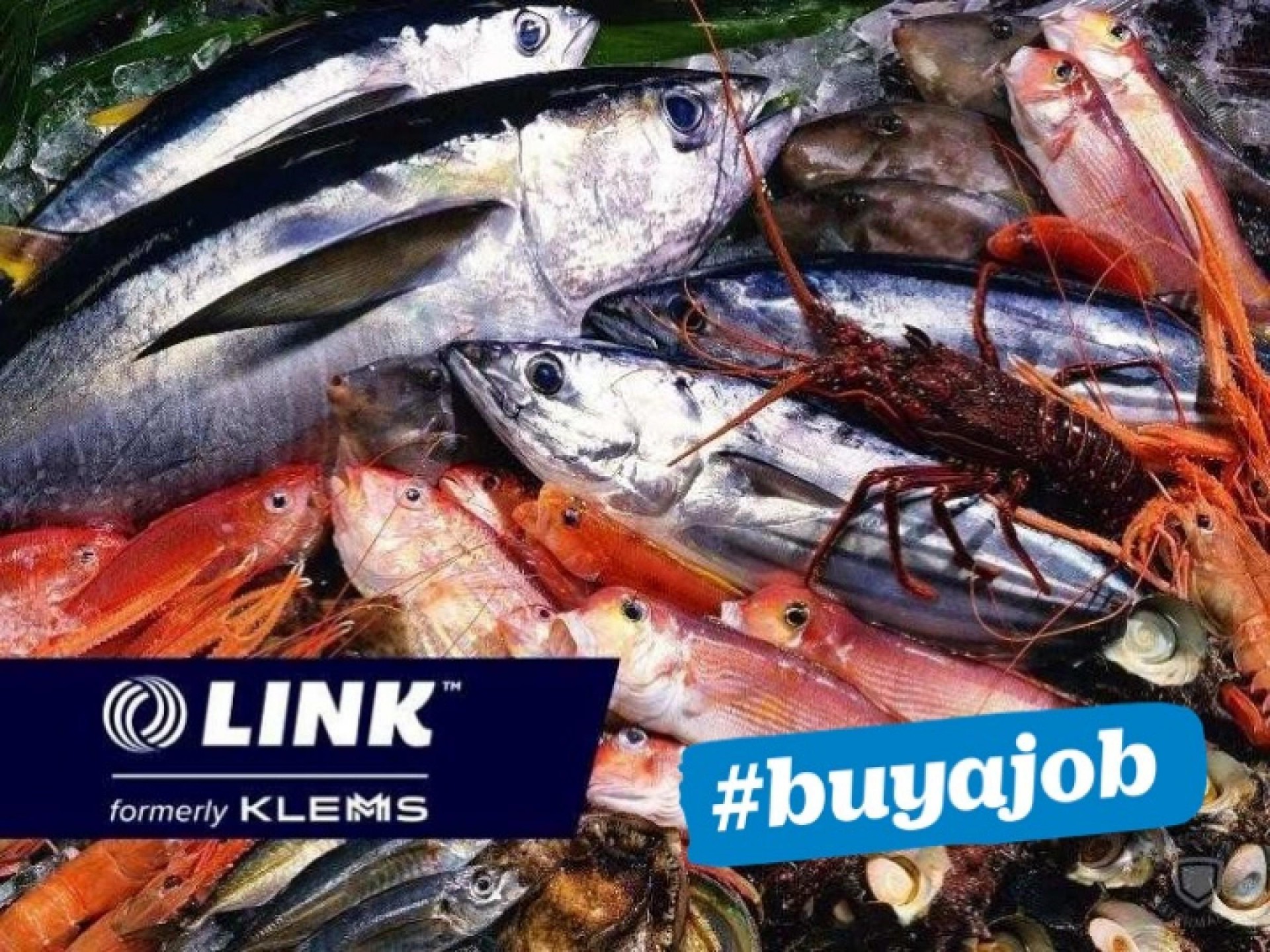 Rare Fish Wholesale and Distribution, Taking $195,000pw, $1,890,000 (14977)